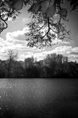 Infrared-Holga-5