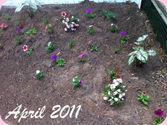 Garden - altered