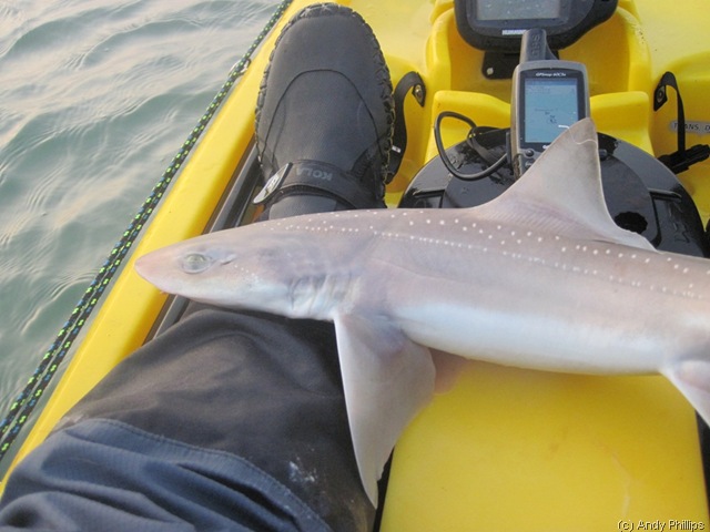 [IMG_0954%255B9%255D.jpg]