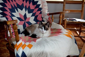 Jeremy is unconcerned. His part of the cottage is dry and warm Jeremy is unconcerned. His part of the cottage is dry and warm