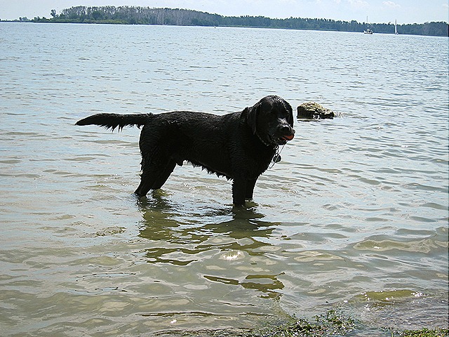 [IMG_0394%255B6%255D.jpg]