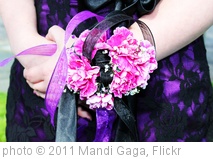 'IMG_5281' photo (c) 2011, Mandi Gaga - license: http://creativecommons.org/licenses/by-nd/2.0/