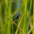 P1090546