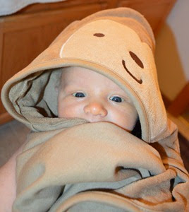 DSC_0476 DSC_0476