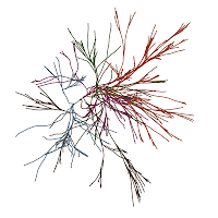 branch_02_25_2013_1632-13.png