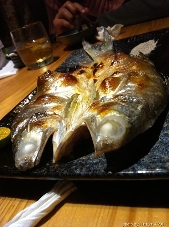 [IMG_618513.jpg]