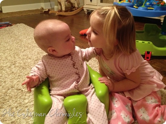 IMG_5390 IMG_5390