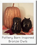 Pottery Barn Inspired Bronze Owls