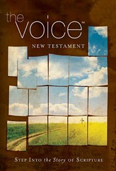 the voice nt the voice nt