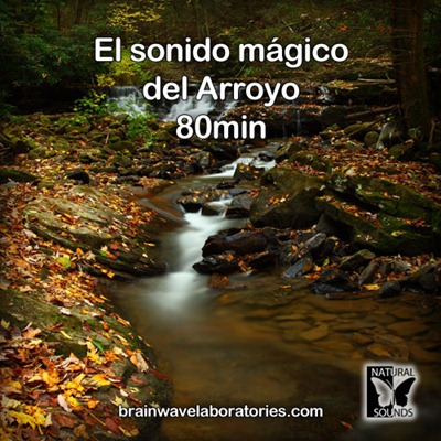 El sonido mágico del Arroyo - 80min