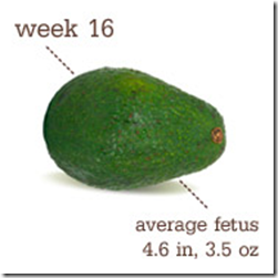 week 16