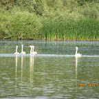 IMG_7908.JPG