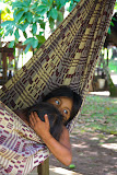 Amazon, Brazil