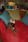 2009 Dec 09 002.JPG
