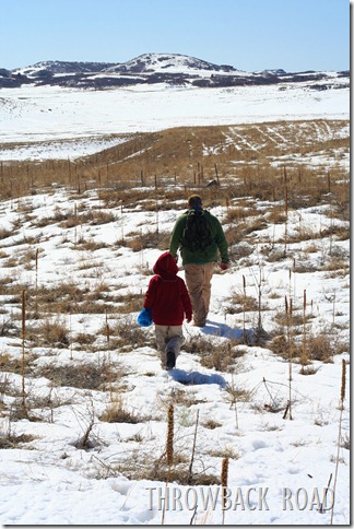 deadwood, hike, composter 069