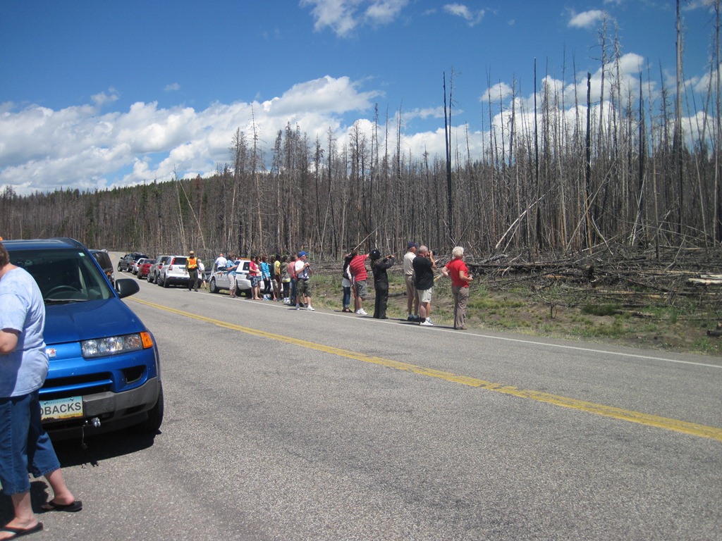 [IMG_1237%255B4%255D.jpg]