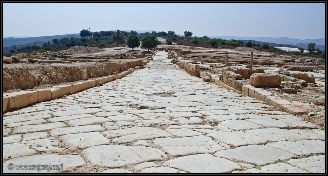 Раскопки в Ципори