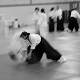 British Birankai Autumn Course 2007