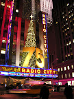 DSCN1713.JPG