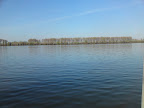 Аутор: Владимир Рађеновић, 2010.