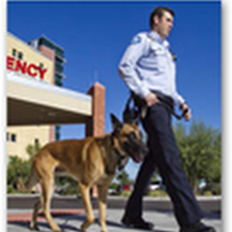 Banner Hospital in Phoenix Uses Dogs to Assist With Security