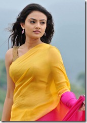 nikitha narayan hot in saree