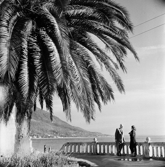 clip_image062 clip_image062