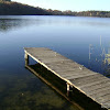 dsc05906.jpg