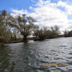 IMG_3176.JPG