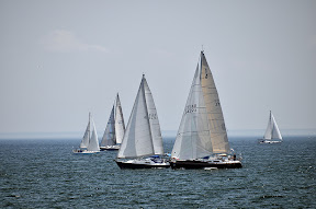 DSC_9299.jpg DSC_9299.jpg
