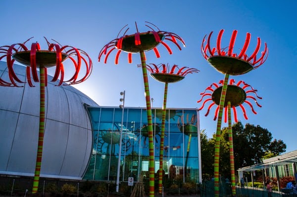 [DSC_0217%255B4%255D.jpg]