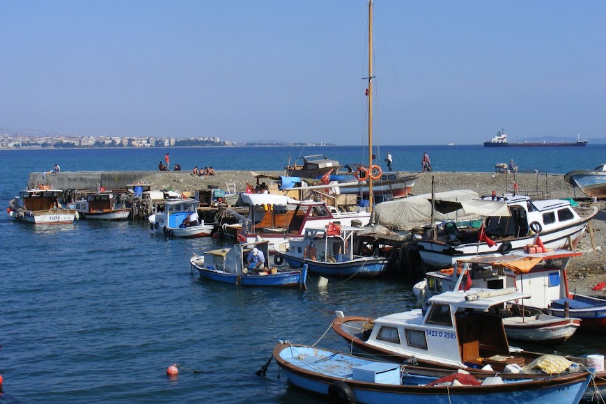 DSCF8600.JPG