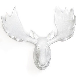 [moose-head-white%255B4%255D.jpg]