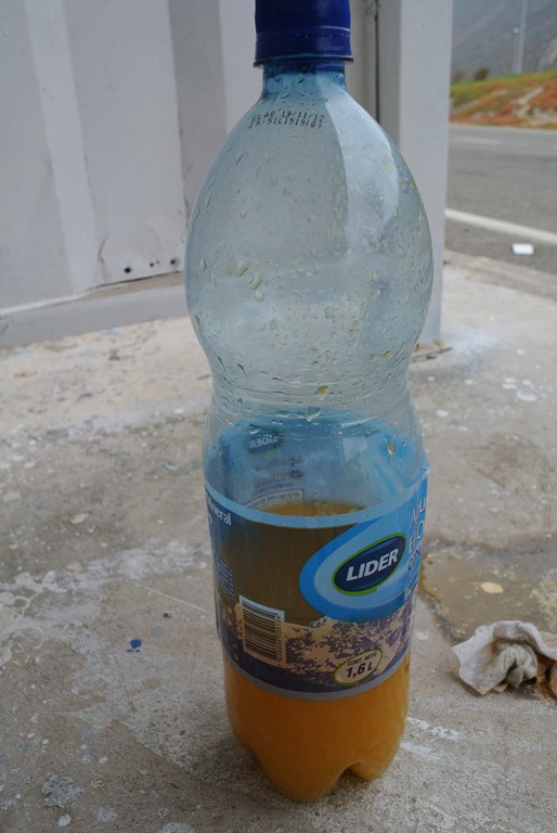 [DSC_83224.jpg]
