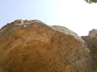 DSCN3856.jpg
