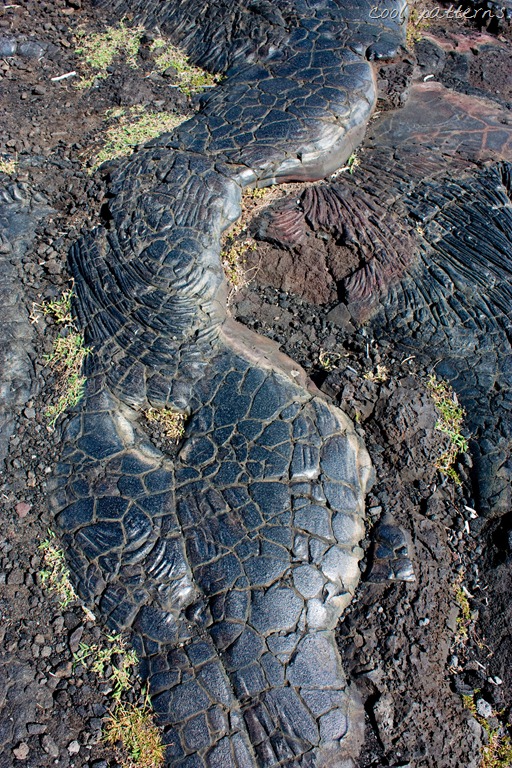 [20121214-IMG_3250-2%255B11%255D.jpg]