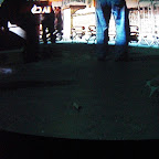 CIMG0453.JPG
