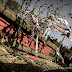 Recesistický 1.Máj na Pláních pod Ještědem<br />
foto: (c) Jiří Částka, www.FotoBanka.net