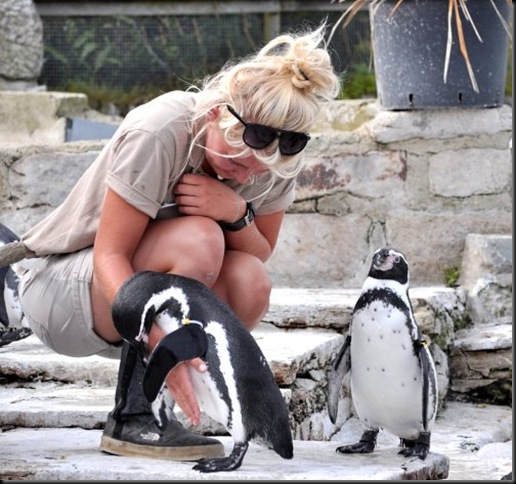 Becky with the penguins