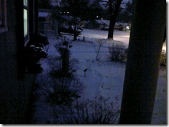 IMG-20120213-00348 IMG-20120213-00348