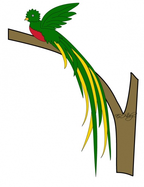 [quetzal-color1%255B5%255D.jpg]