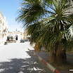 Tunesien-04-2012-187.JPG