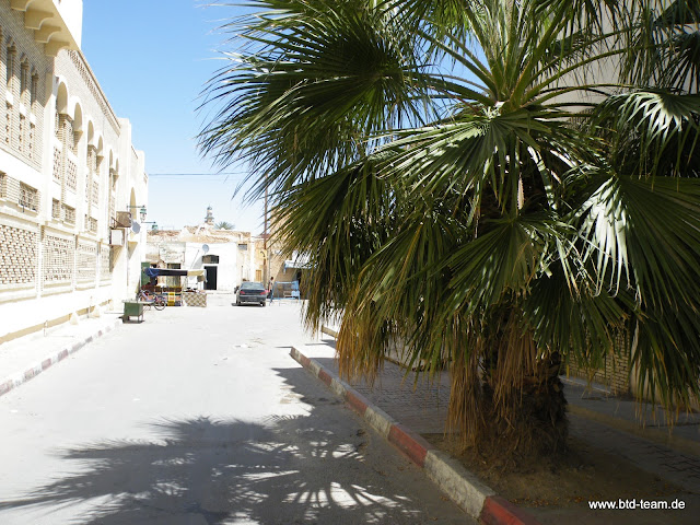 Tunesien-04-2012-187.JPG