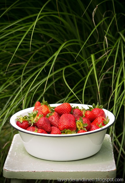 Vintage - Strawberries-010 Vintage - Strawberries-010