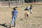 We got to practice roping, too - just like the real cowboys