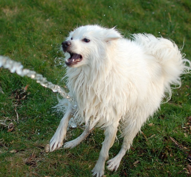 [DSC_5595%255B4%255D.jpg]