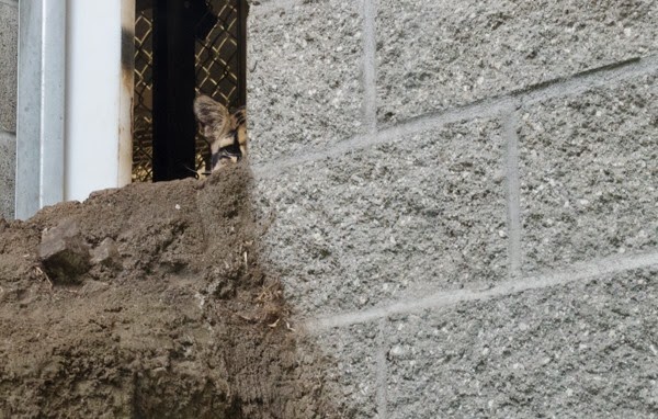 [DSC_0090%255B4%255D.jpg]