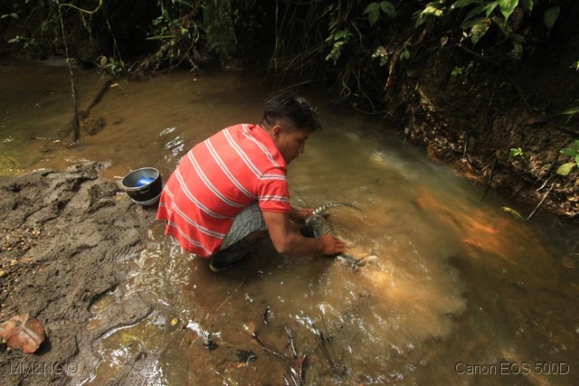 [IMG_2515%255B8%255D.jpg]