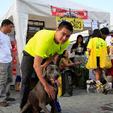 Pet Express Doggie Run 2012 Philippines. Jpg (257).JPG