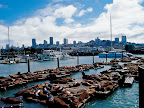 Sprachaufenthalt San Francisco